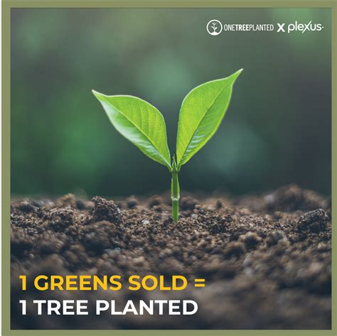 One Tree Planted .